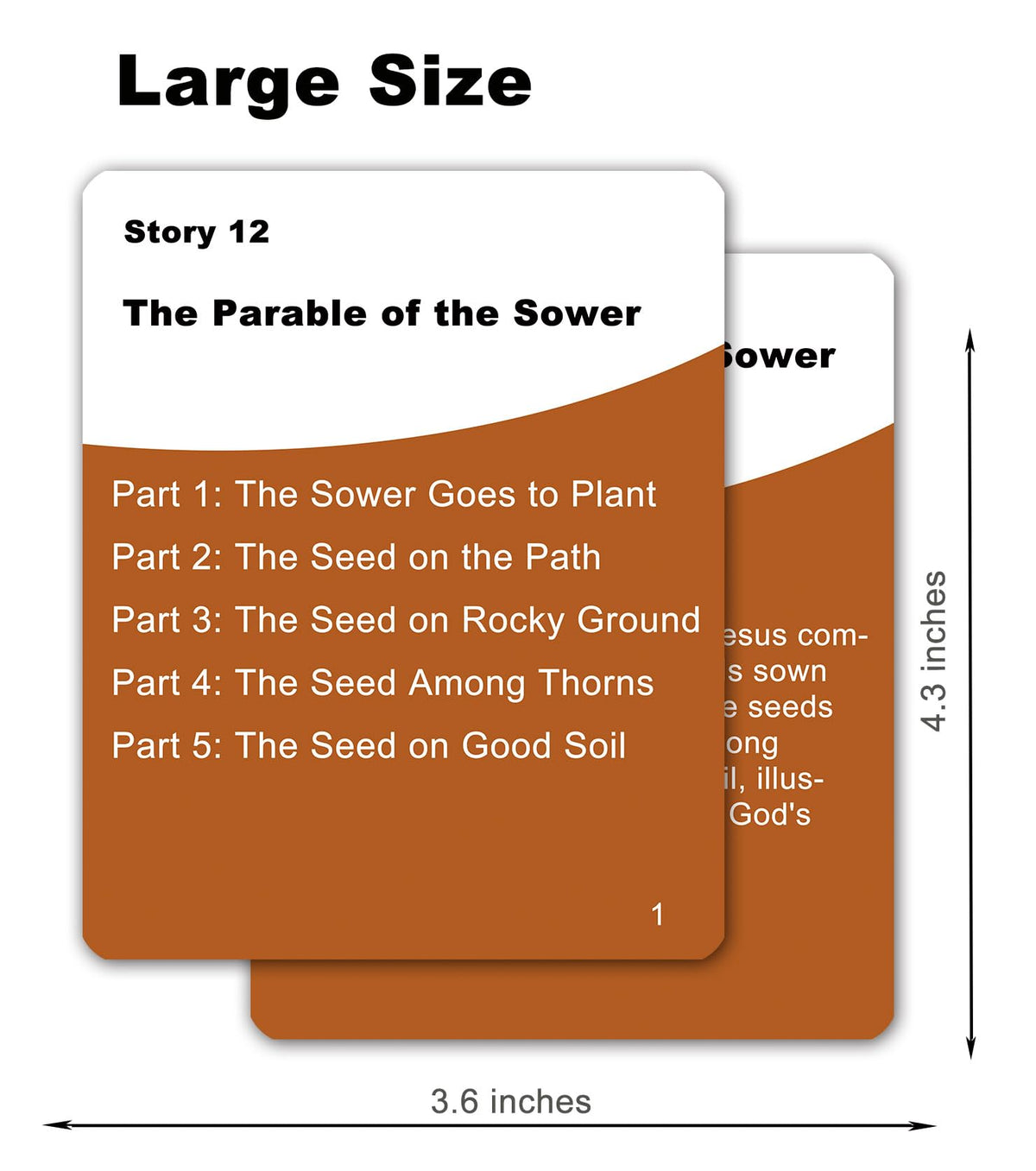 Docdeer 20 Famous Bible Stories, 126 Bible Quiz Cards for Bible Study, Family Fun & Gifts